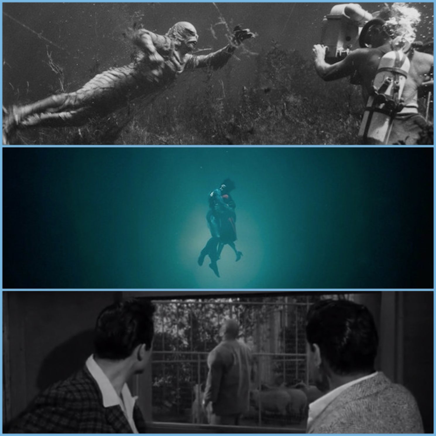 la-forma-dell'acqua-il-mostro-della-laguna-nera-the-shape-of-water-creature-from-the-black-lagoon-insta-thoughts-cinema-film-considerazioni-riflessioni